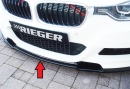 Rieger Spoilerschwert