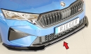 Rieger Spoilerschwert