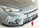 Rieger Spoilerschwert